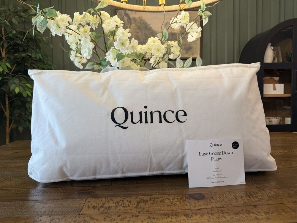 NWT Quince Luxe Goose Down Pillow King Soft | Medium Firmness $194 Retail